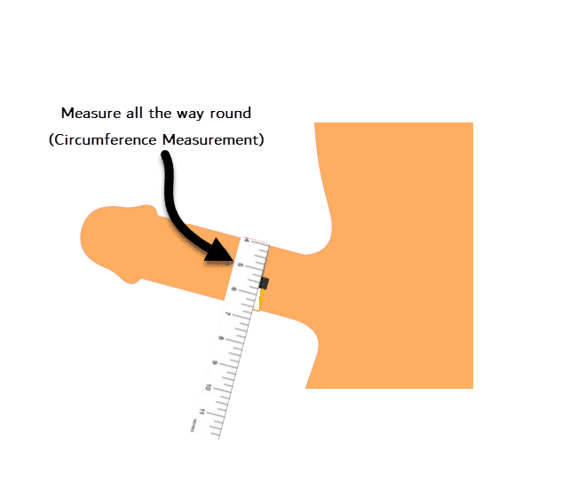 How to Measure Penis Size the Correct Way? Step-by-Step Guide 2024 3 measure penis girth