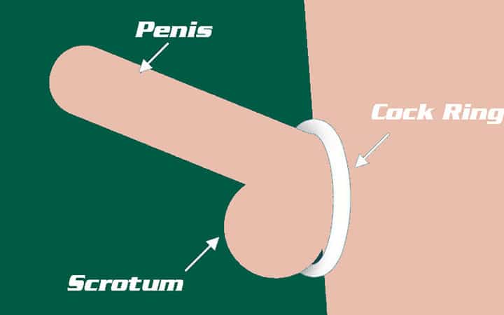 Cheap Constriction Cock Ring